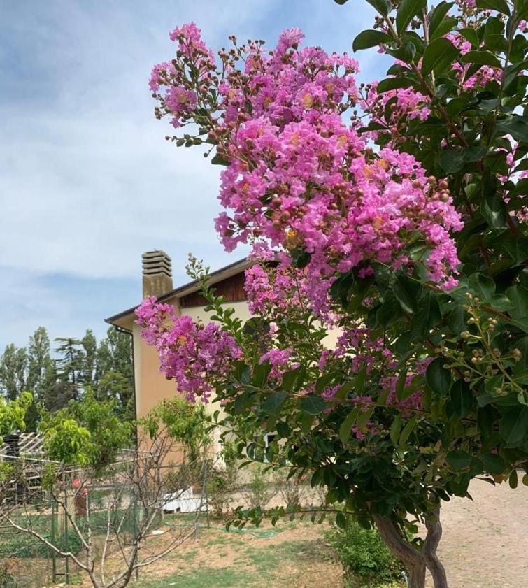 Agriturismo Monteroseo Bedizzole Exteriör bild